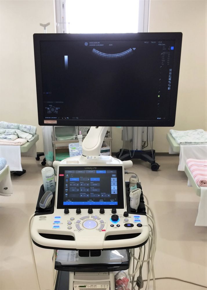 医療法人元気の会 痛みのクリニック 長谷川医院　エコー