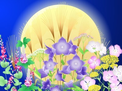 2018.09.03...秋の七草