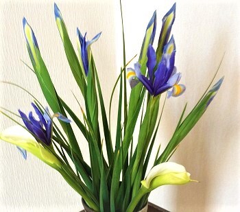 2017.05.12...ある晴れた日！！